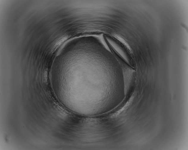 X0000091890777200709121439