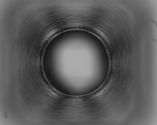 X0000091890778200709121439