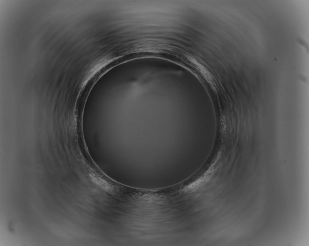 X0000091890779200709121439