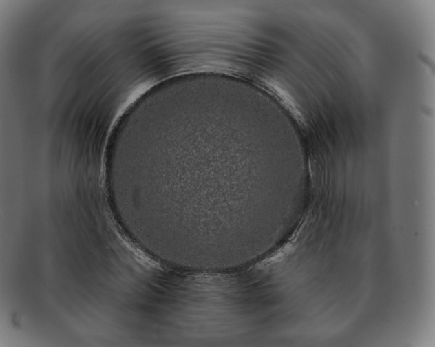 X0000091890780200709121439