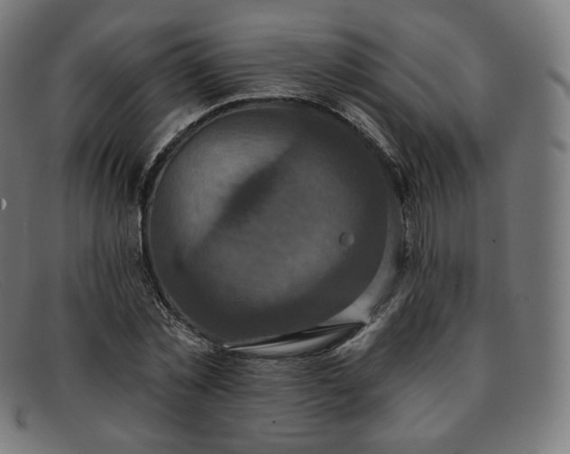 X0000091890781200709121439
