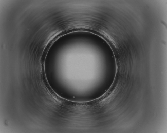 X0000091890782200709121439