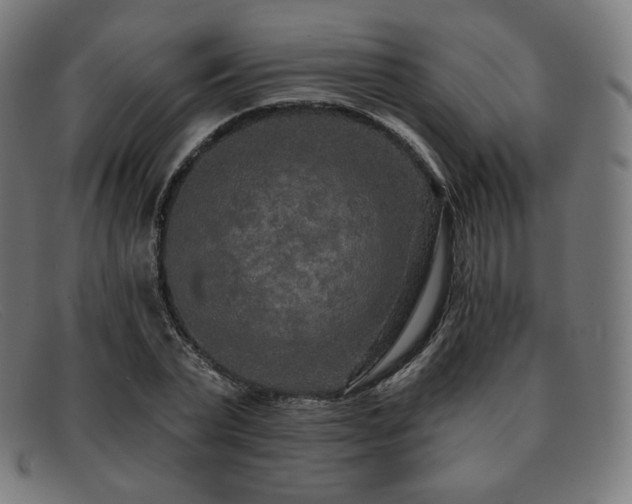 X0000091890783200709121439