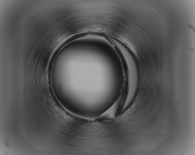 X0000091890784200709121439