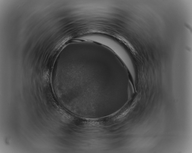 X0000091890785200709121439