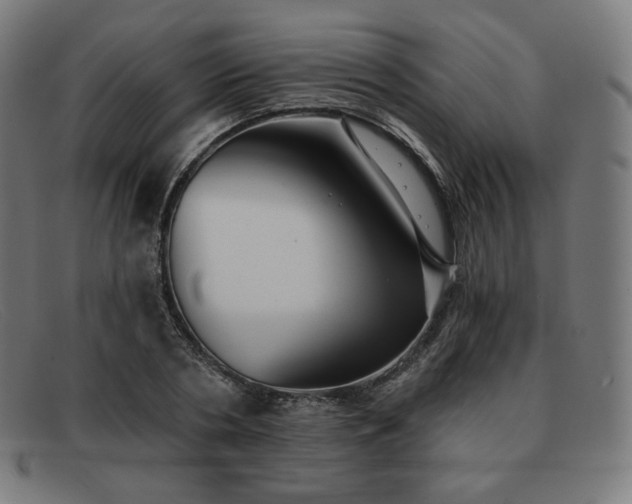 X0000091890786200709121439