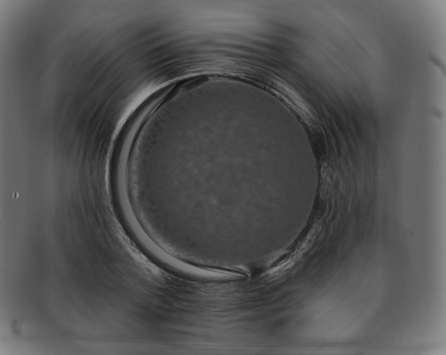 X0000091890788200709121439