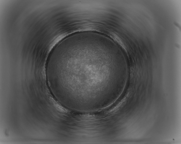 X0000091890789200709121439
