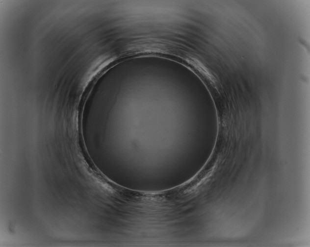 X0000091890790200709121439