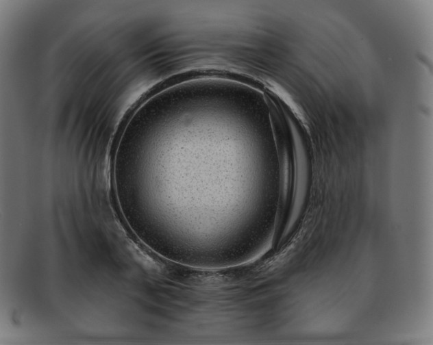 X0000091890791200709121439