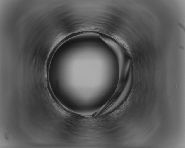 X0000091890792200709121439