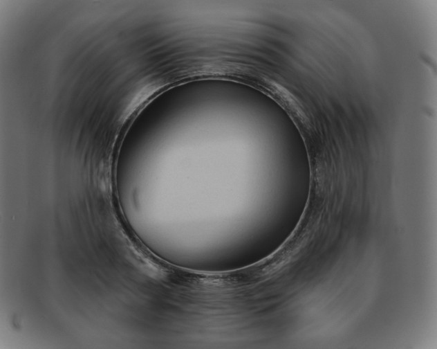 X0000091890794200709121439