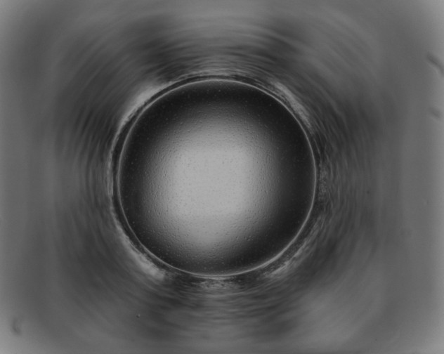 X0000091890795200709121439