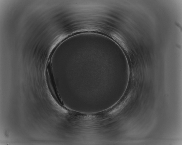 X0000091890797200709121439