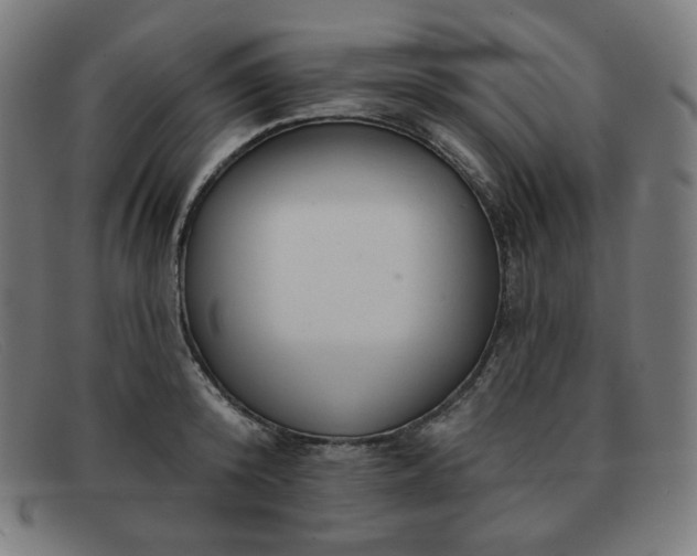 X0000091890800200709121439