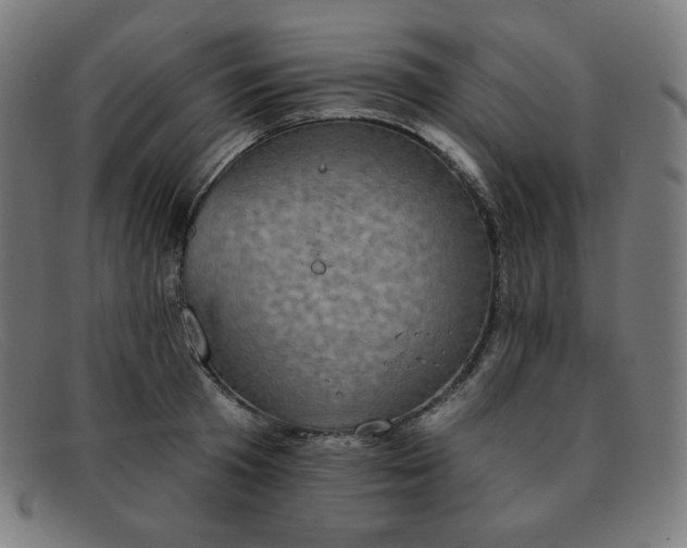 X0000091890801200709121439