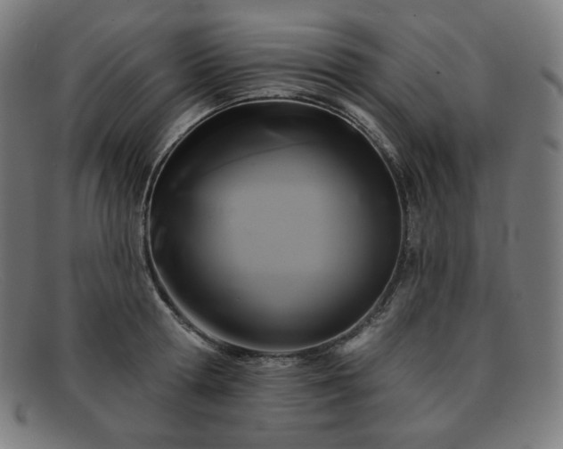 X0000091890802200709121439