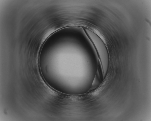 X0000091890803200709121439