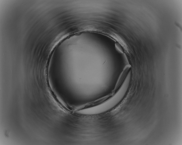 X0000091890806200709121439