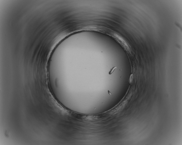 X0000091890808200709121439