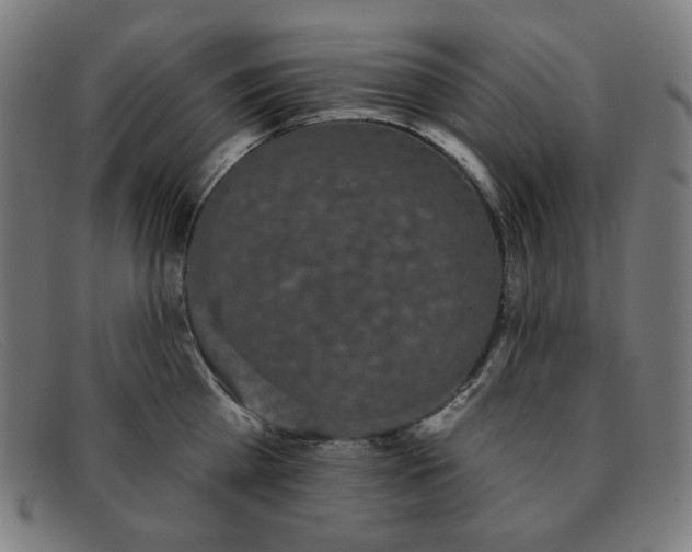 X0000091890809200709121439