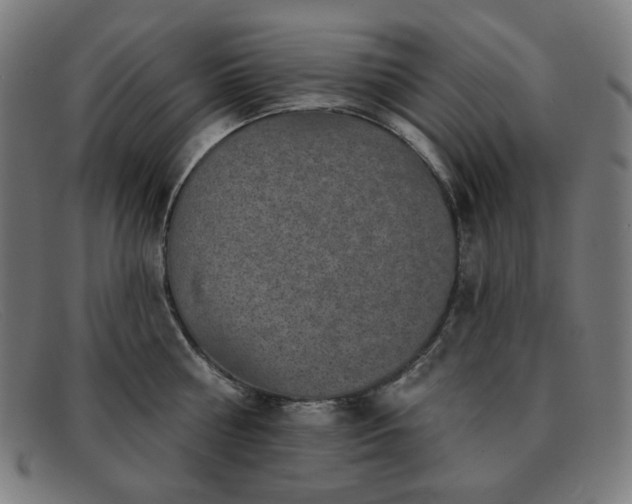 X0000091890810200709121439