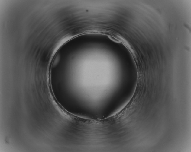 X0000091890811200709121439