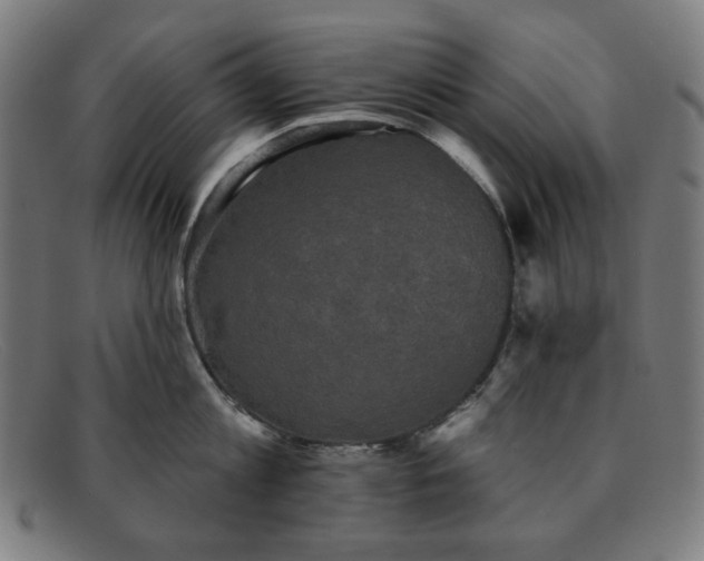 X0000091890813200709121439