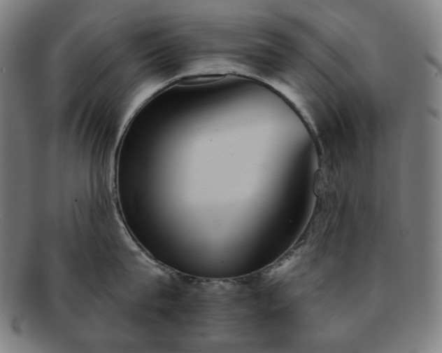 X0000091890815200709121439