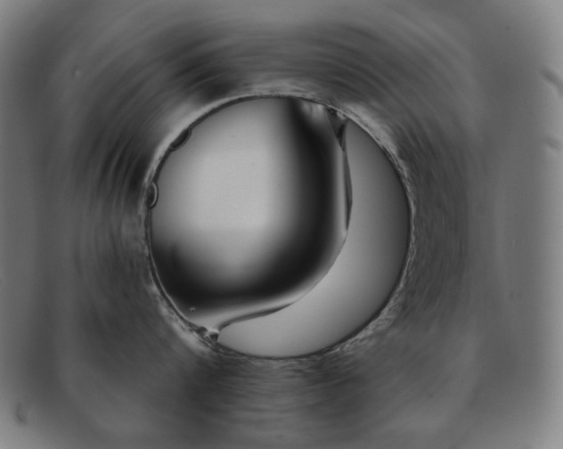 X0000091890816200709121439