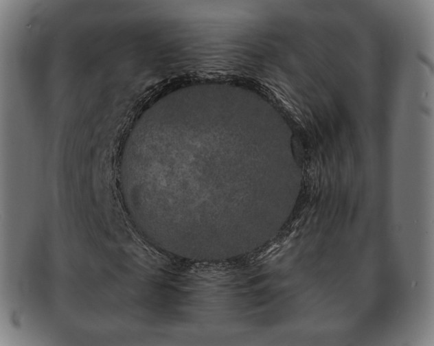 X0000091890817200709121438