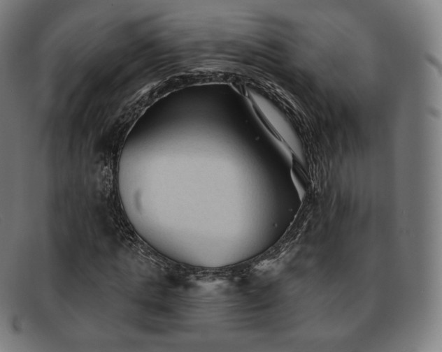 X0000091890821200709121438