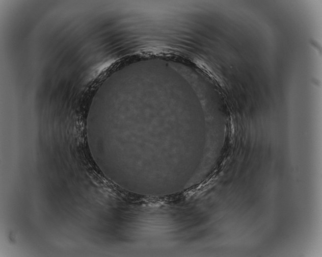 X0000091890822200709121438