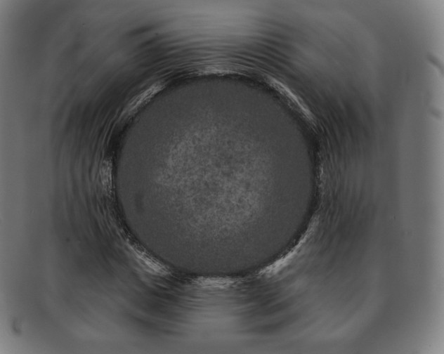 X0000091890825200709121438