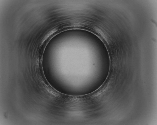 X0000091890827200709121438