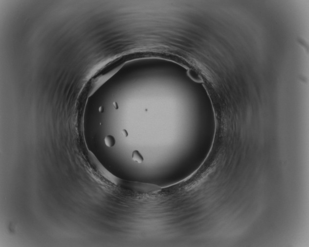 X0000091890830200709121438