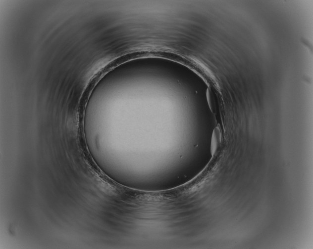 X0000091890831200709121438