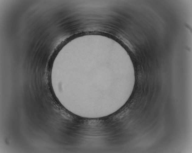 X0000091890832200709121438
