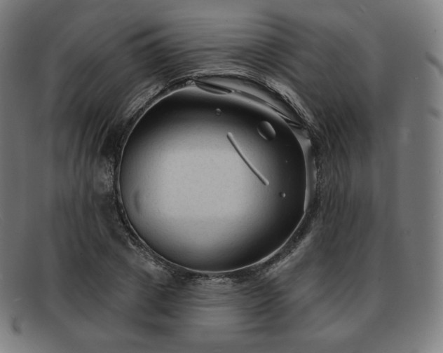X0000091890833200709121438
