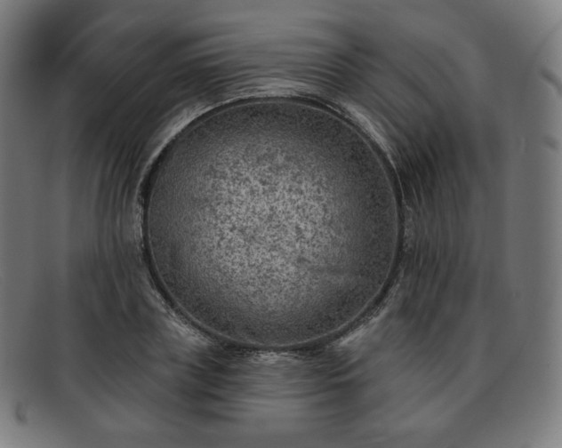 X0000091890835200709121438