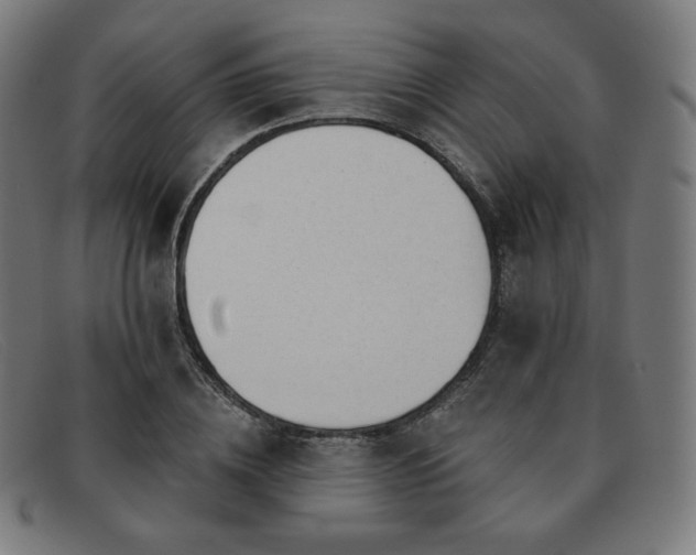 X0000091890836200709121438