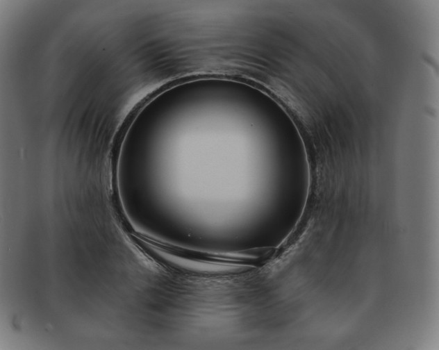 X0000091890838200709121438