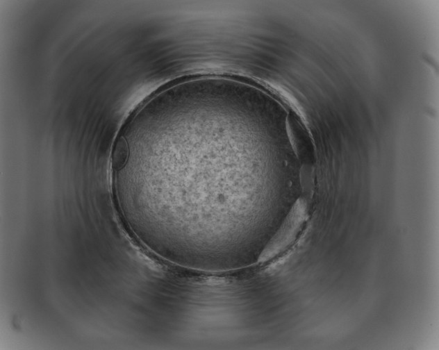 X0000091890839200709121438