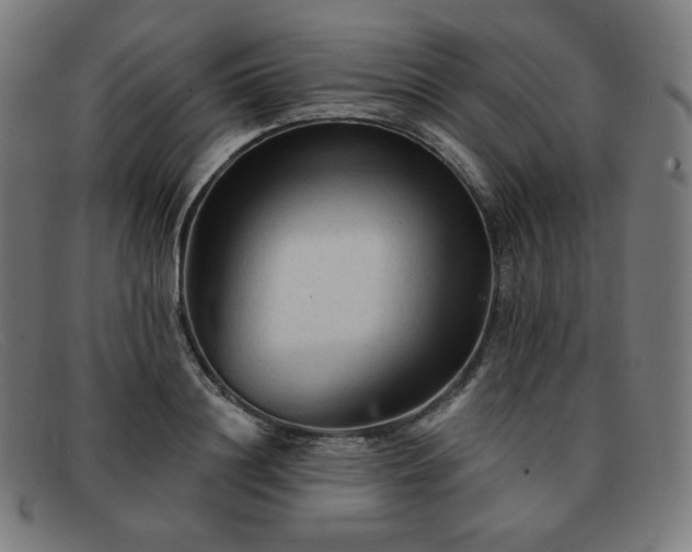 X0000091890844200709121438