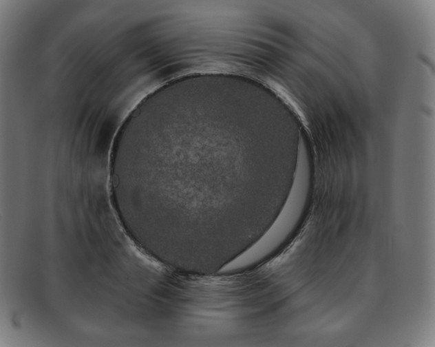 X0000091890845200709121438