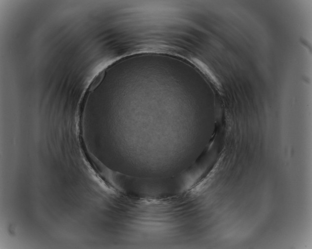 X0000091890846200709121438
