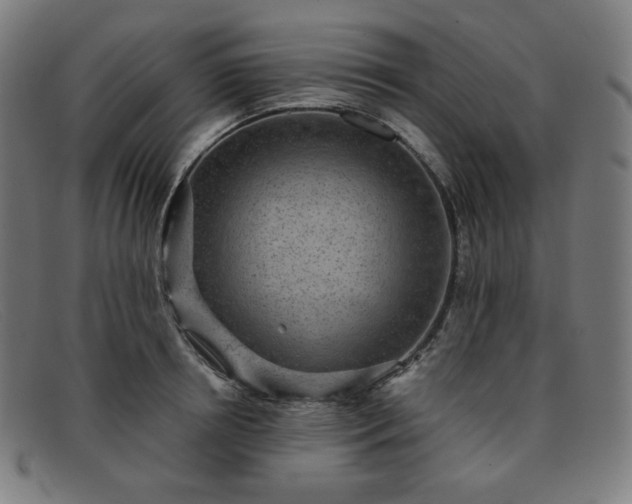 X0000091890850200709121438