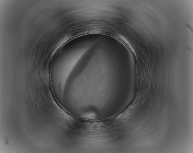 X0000091890851200709121438