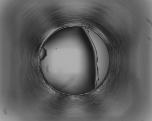 X0000091890852200709121438