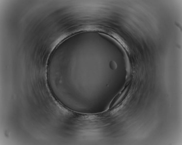 X0000091890853200709121438